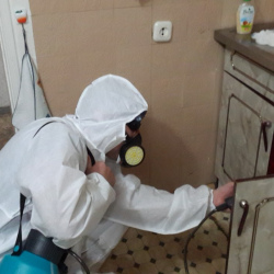 Дезинфекция от муравьев в квартире Сретенский бульвар метро Москвы