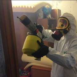 Уничтожение клопов в квартире. Сретенский бульвар
